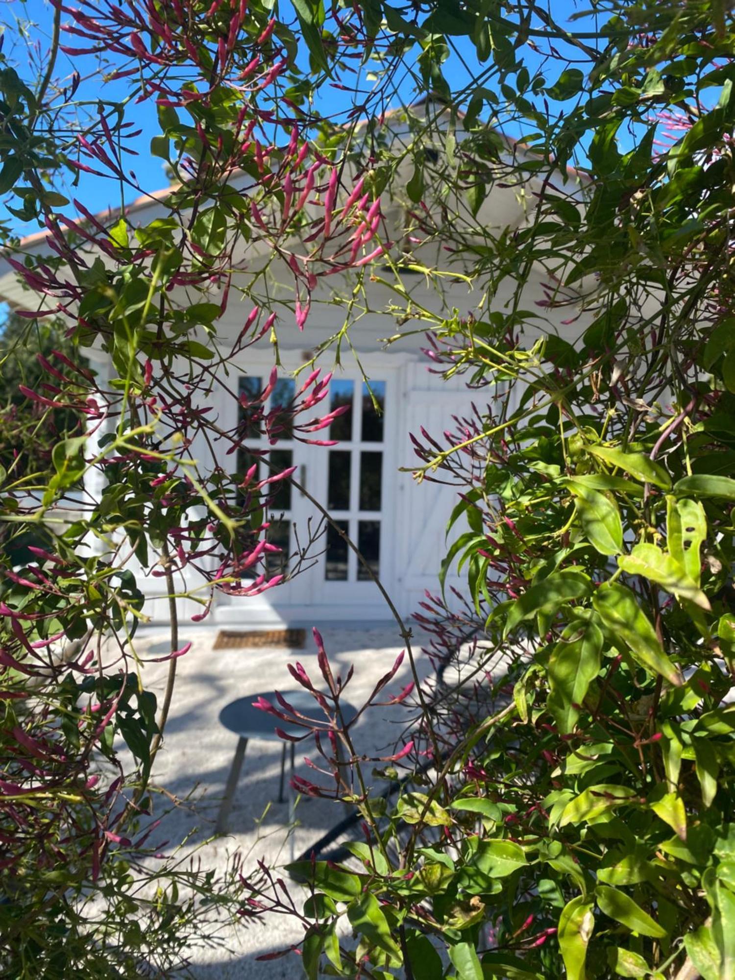 Maison Saint Paul Bnb La Colle-sur-Loup Eksteriør bilde